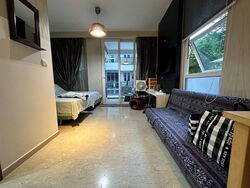Parc Elegance (D15), Apartment #406737691